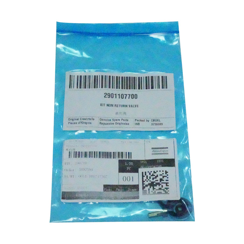 2901107700 Kit Valve mriksa