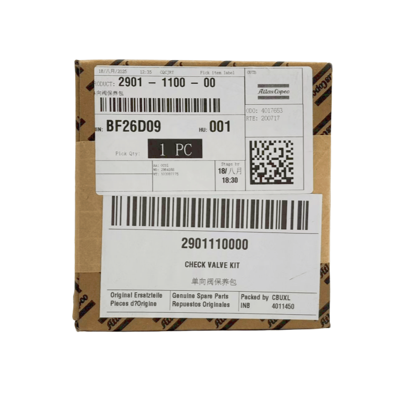 290111000000 kompressor Udhara Compressor Check Valve Valveir kit